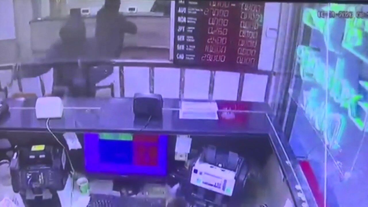 I S T A N B U L F A T I H’ T E D O V I Z B U R O S U N A S I L A H 1205098 358339